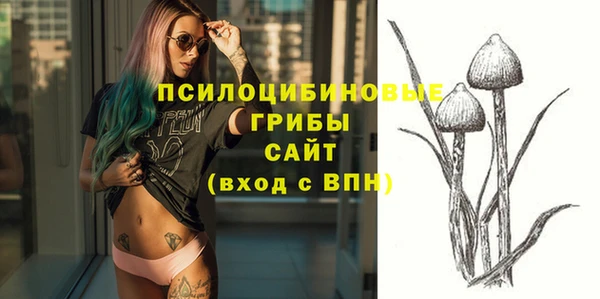 бошки Нязепетровск