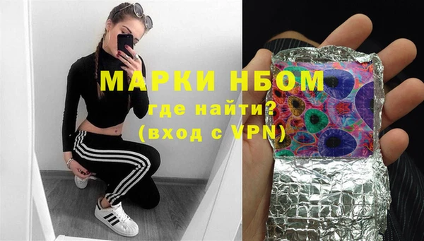твердый Козельск