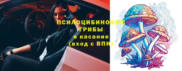 mdma Няндома