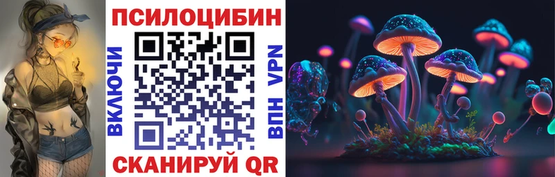 Галлюциногенные грибы MAGIC MUSHROOMS  сколько стоит  Юрьев-Польский 